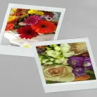 La imagen 2 de la Empresa FLORES LUNA Florista en Mendoza AR-M	