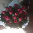 La imagen 5 de la Empresa FLORES LUNA Florista en Mendoza AR-M	