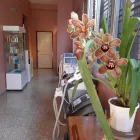 La imagen 1 de la Empresa FRYSS APARATOLOGÍA Tienda de maquinaria en Banfield AR-B