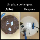 La imagen 1 de la Empresa FUMIGACIONES EN QUILMES Roedores en Quilmes AR-B