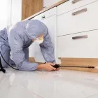 La imagen 1 de la Empresa FUMIGACIONES RMN Servicio de control de plagas en Capital Federal AR-B
