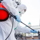 La imagen 1 de la Empresa FUMIJASK Servicio de control de plagas en Capital Federal AR-B