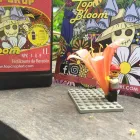 La imagen 7 de la Empresa GREEN MAGIC GROWSHOP servicios de jardineria en Boulogne Sur Mer AR-B