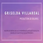 La imagen 1 de la Empresa GRISELDA VILLAREAL-PRODUCTORA DE SEGUROS Ventas de Seguros en Tandil AR-B