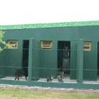 La imagen 2 de la Empresa GUARDERIA CANINA Y FELINA MODELO Guardería para Perros en Mar del Plata AR-B