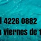 La imagen 2 de la Empresa HOMEOPATIA CLASICA DE ALTA CALIDAD Psicoterapia en Berazategui AR-B