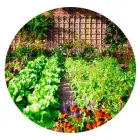 La imagen 1 de la Empresa ISA GARDEN SAS Viveros en Yerba Buena AR-T