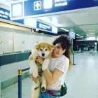 La imagen 4 de la Empresa KIZOKU ITSUMO GO Criador de perros en La Plata AR-B