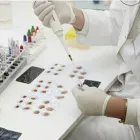 La imagen 1 de la Empresa LABORATORIO DR PITTAVINO ADRIAN - BIOQUIMICO Virología en Crespo AR-E
