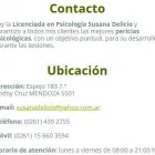 La imagen 3 de la Empresa LICENCIADA EN PSICOLOGIA SUSANA DELICIO Pericias Psicológicas en Mendoza AR-M	
