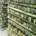 La imagen 2 de la Empresa MADERAS LANZILOTTA Ventas por Menor de Maderas en Tunuyán AR-M	