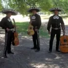 La imagen 3 de la Empresa MARIACHIS AGUILA REAL DE BUENOS AIRES Tipos de Eventos en Buenos Aires Argentina