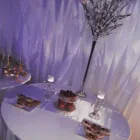 La imagen 4 de la Empresa MARTA LEVITI Servicio de alquiler de materiales para fiestas en Zárate AR-B