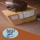 La imagen 3 de la Empresa MENSAJERIA RTL74 Traslado de Encomiendas en Capital Federal AR-B