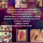 La imagen 1 de la Empresa MICROPIGMENTACION ZONA SUR microblading en Avellaneda AR-B