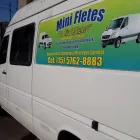 La imagen 1 de la Empresa MINI FLETES LA HIJA DEL FLETERO Traslado A Todo El País en Capital Federal AR-B