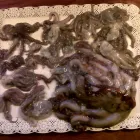 La imagen 3 de la Empresa MOLINA JOSE MARIA - INGENIERO QUIMICO Profesionales en Puerto Madryn AR-U