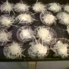 La imagen 5 de la Empresa MOLINA JOSE MARIA - INGENIERO QUIMICO Profesionales en Puerto Madryn AR-U