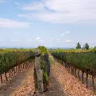 La imagen 1 de la Empresa MOOI RESTAURANT Y POSADA Cabaña en Tupungato AR-M	