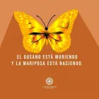 La imagen 2 de la Empresa MUJER SISTEMICA Terapia Ocupacional en Capital Federal AR-B
