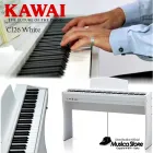 La imagen 6 de la Empresa MUSICA STORE Instrumentos Musicales en Salta AR-A