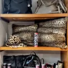 La imagen 9 de la Empresa NACHA COLECCIONES Tienda de artículos de cuero en Rosario AR-S