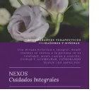 La imagen 1 de la Empresa NEXOS CUIDADOS INTEGRALES SRL Internacion Domiciliaria en Capital Federal AR-B