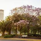 La imagen 12 de la Empresa PARK TOWER, A LUXURY COLLECTION HOTEL, BUENOS AIRES Luxury Collection en Buenos Aires Argentina