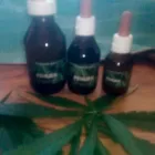 La imagen 4 de la Empresa PEHUEN Tomillo en Rio Ceballos AR-X