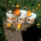 La imagen 6 de la Empresa PEHUEN Tomillo en Rio Ceballos AR-X