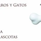 La imagen 4 de la Empresa PET MARKET ARTURO Tienda para mascotas en Villa Ballester AR-B