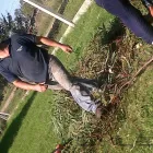 La imagen 6 de la Empresa PODA DE ARBOLES EN ALTURA Servicios Profesionales en Quilmes Oeste AR-B