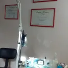 La imagen 4 de la Empresa PODÓLOGOS UNIVERSITARIOS (U.B.A) SCHOLL QUILMES Podólogos Universitarios en Quilmes AR-B