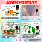 La imagen 1 de la Empresa POPURRI KIAROTA BAGUES Zapatería en Banfield AR-B