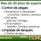 La imagen 5 de la Empresa PROAMB S.R.L. Desinfeccion Y Control De Plagas - Servicios en Rosario AR-S