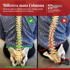 La imagen 7 de la Empresa QUIROPRAXIA DUTTO Quiropraxia en Santa Fe AR-S