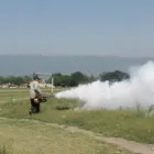 La imagen 11 de la Empresa QUITAPLAGAS XXX en Adrogué AR-B