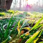 La imagen 2 de la Empresa RANCHO LOS MISIONEROS Pesca en Zárate AR-B