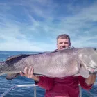 La imagen 8 de la Empresa REGALINI Pesca - Excursiones en Mar del Plata AR-B