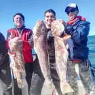 La imagen 2 de la Empresa REGALINI Pesca - Excursiones en Mar del Plata AR-B