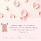 La imagen 1 de la Empresa SALUD MENTAL PERINATAL Tratamiento Psicológico en Capital Federal AR-B
