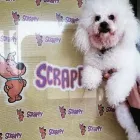 La imagen 4 de la Empresa SCRAPPY DUCHA Peluquerías para Razas en Tolosa AR-B