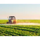 La imagen 4 de la Empresa SERVICIOS AGROPECUARIOS EL SAUZALITO Servicios Agropecuarios en Pellegrini AR-B