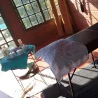 La imagen 1 de la Empresa SHANTI UN LUGAR DISTINTO Uñas Encarnadas en Carlos T Sourigues AR-B