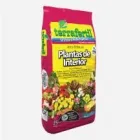 La imagen 5 de la Empresa SILBU Venta de Bulbos en Bahía Blanca AR-B