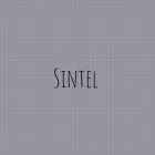 La imagen 1 de la Empresa SINTEL Agencia de marketing por Internet en El Palomar AR-B