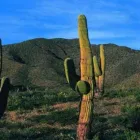 La imagen 1 de la Empresa SOLUCIONES DEL NORTE Traslado de Baños Portatiles en Salta AR-A