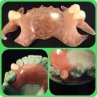 La imagen 3 de la Empresa STUDIO DENTAL-INSTITUTO DE ENSEÑANZA Y CAPACITACIÓN - MECÁNICOS DENTALES. Tratamiento Endodontico en Capital Federal AR-B