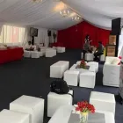 La imagen 8 de la Empresa SU LIVING- AMBIENTACION Tienda de artículos para fiestas en Morón AR-B