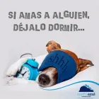 La imagen 1 de la Empresa SUEÑO AZUL Sillon en Santa Fe AR-S